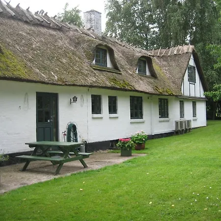 Vaalsevig